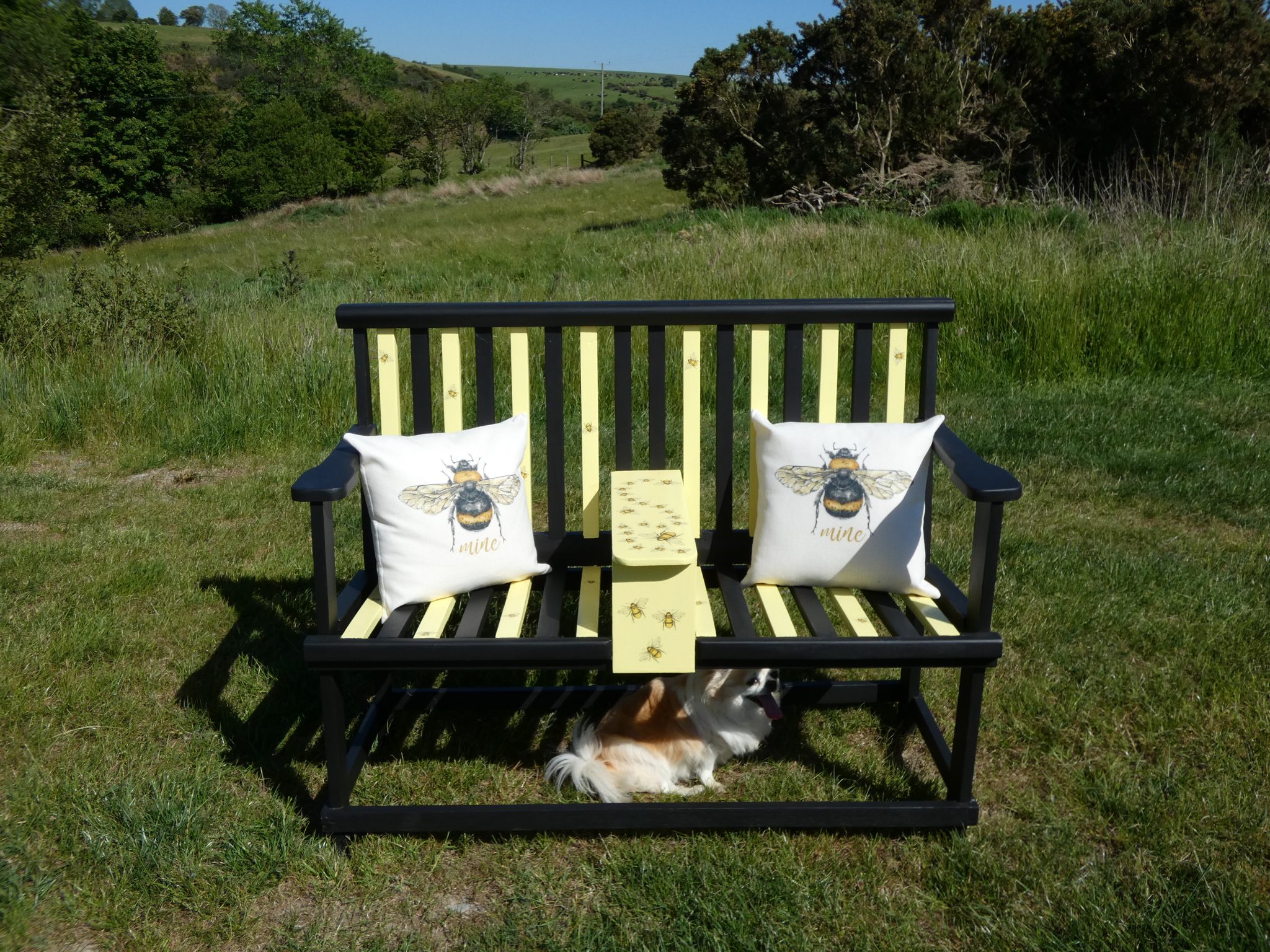 Dawn's bee bench makes it's debut