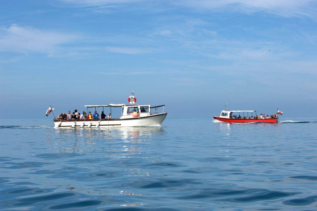 Let's Glamp retro - Dolphin spotting boats