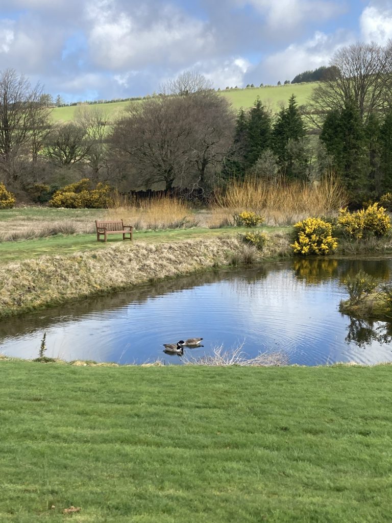 Let's Glamp Retro Luxury Glamping in West Wales Geese 19