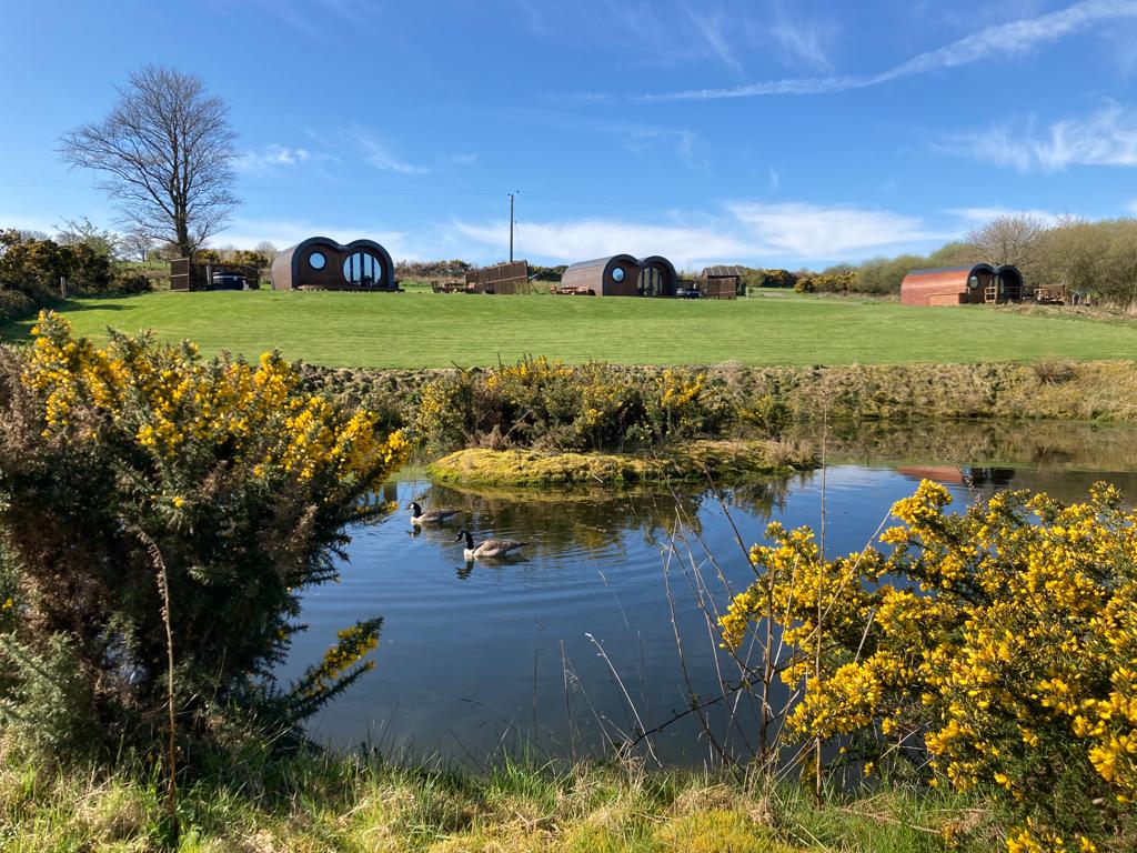 Let's Glamp Retro Luxury Glamping in West Wales view with geese