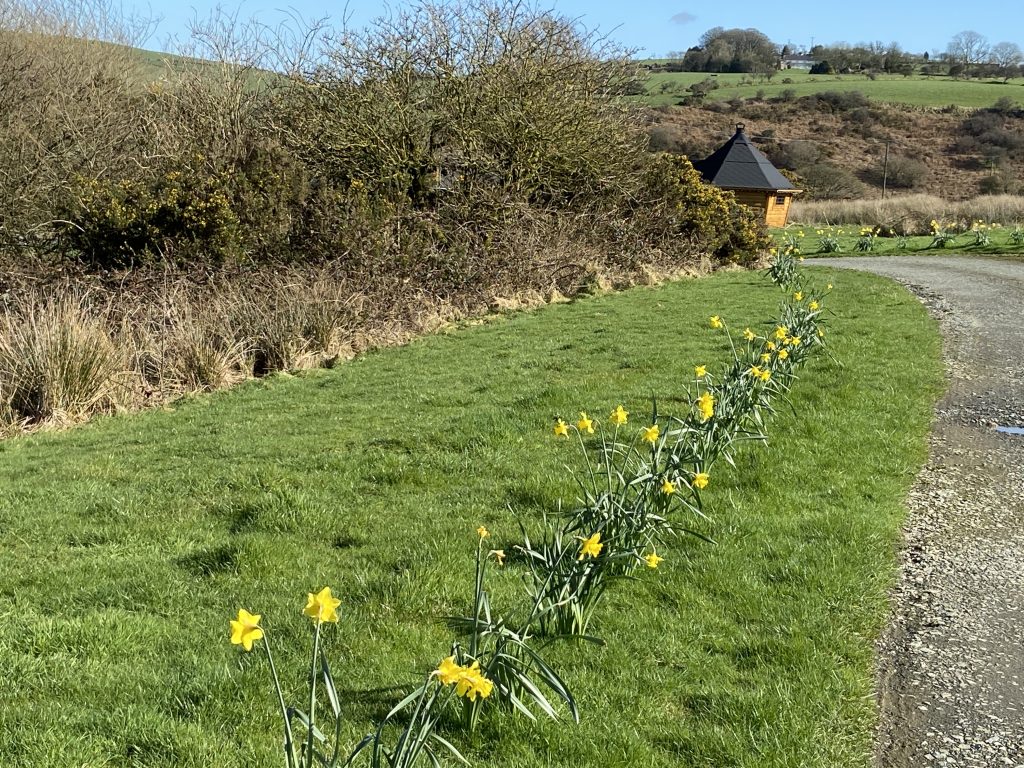 Let's Glamp Retro Luxury Glamping in West Wales spring 2024 2