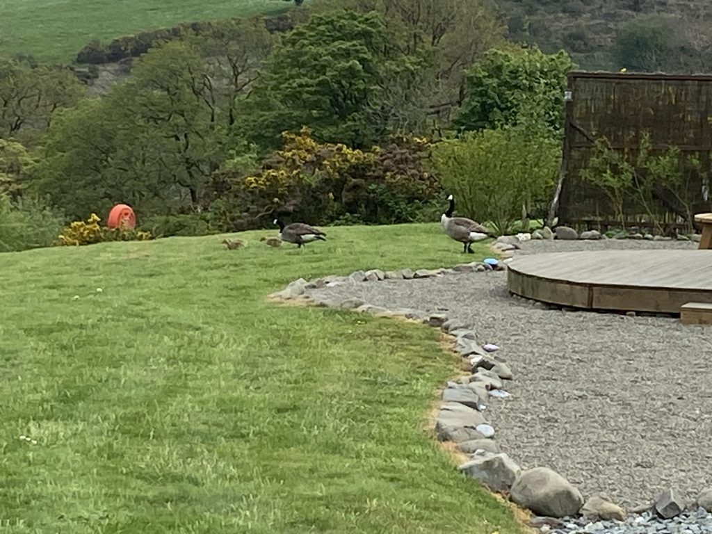 Let's Glamp Retro Luxury Glamping in West Wales the three degrees 40