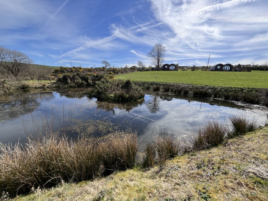 Let's Glamp Retro Luxury Glamping in West Wales cher starts nesting 3