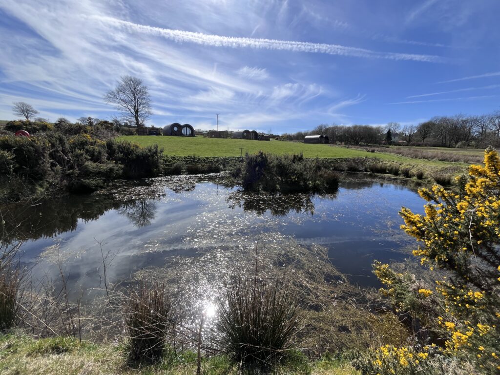 Let's Glamp Retro Luxury Glamping in West Wales cher starts nesting 9